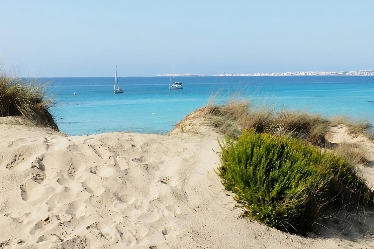 טוליה Villa Dei Sogni Gallipoli מראה חיצוני תמונה