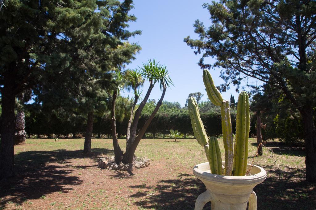 טוליה Villa Dei Sogni Gallipoli מראה חיצוני תמונה